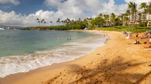 Kapalua showing a beach, a coastal town and general coastal views