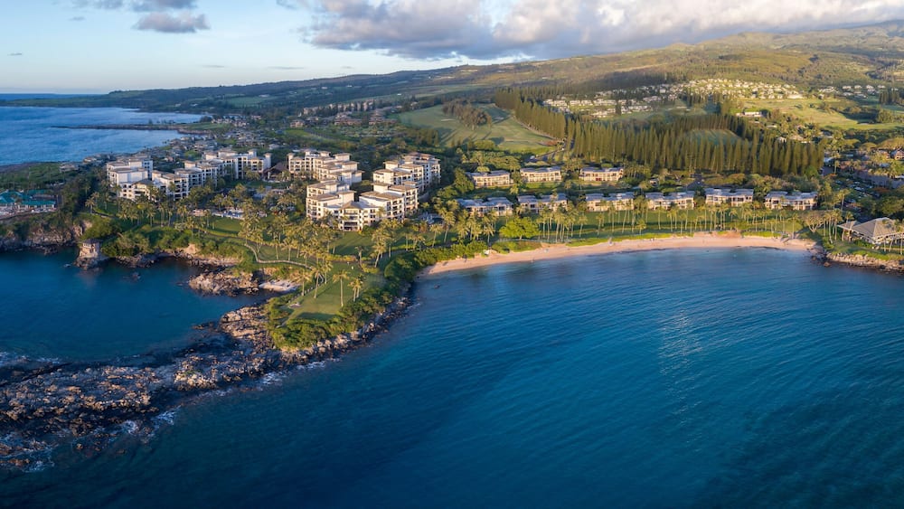 An aerial view of a coastal resort with a beachfront, dense forest, and rolling hills in the background.