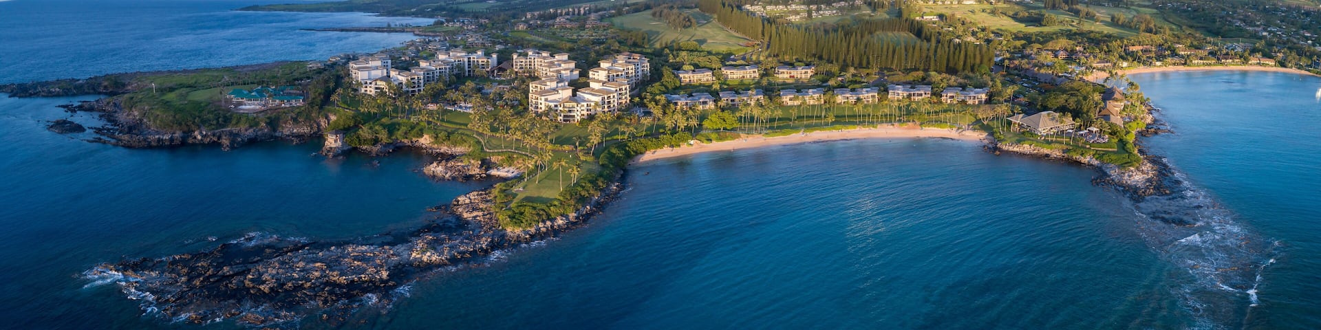 An aerial view of a coastal resort with a beachfront, dense forest, and rolling hills in the background.