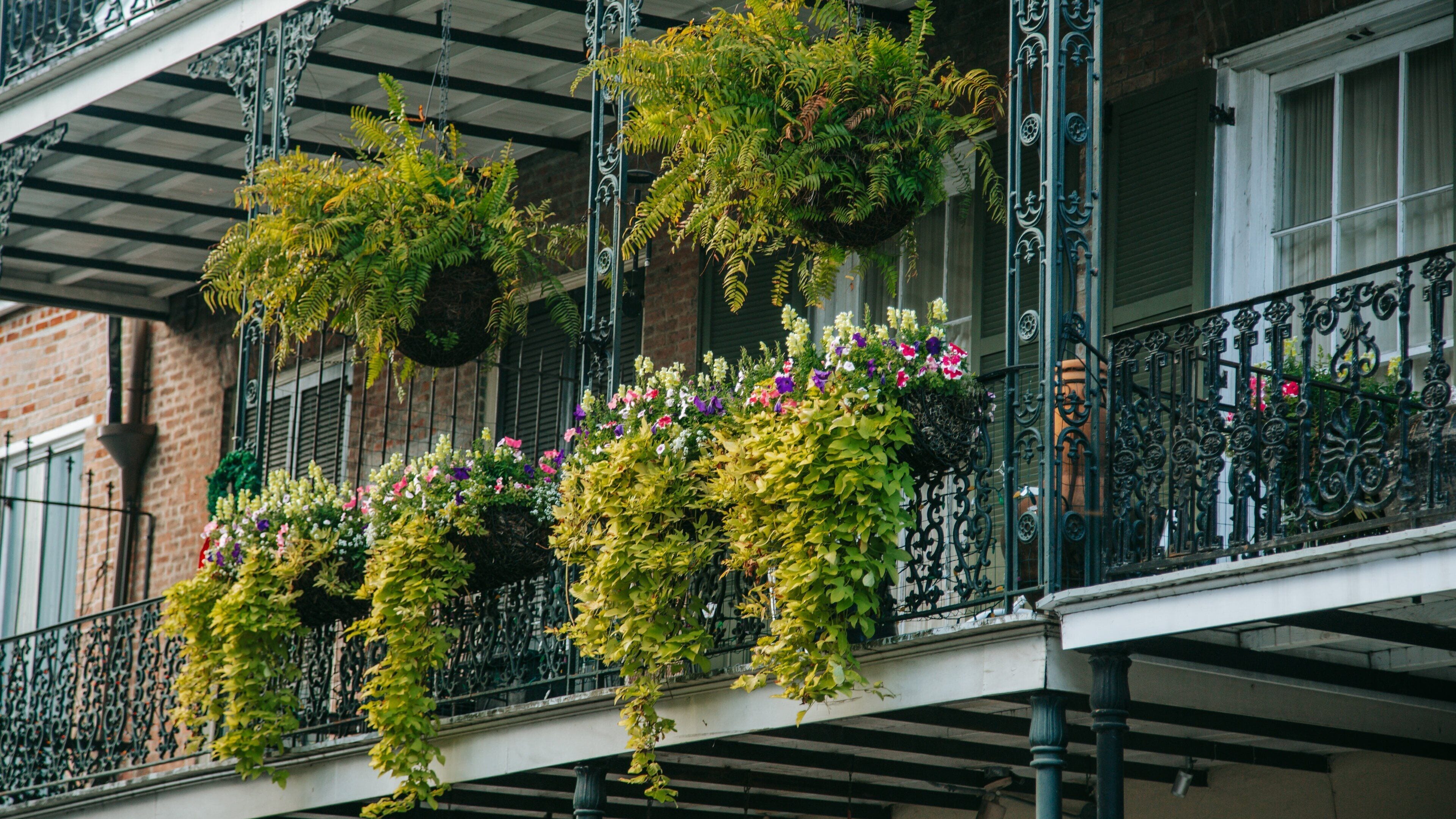 French Quarter which includes flowers and a house