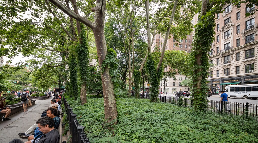 Upper West Side showing a garden