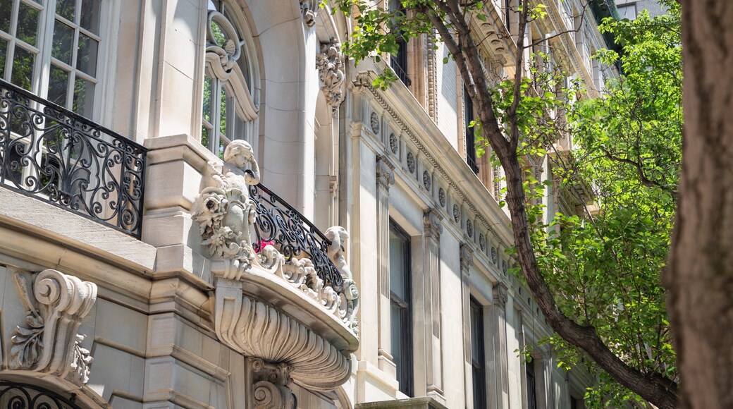 Upper East Side showing heritage elements