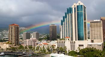 ホノルル ダウンタウン フィーチャー 現代建築, 都市 と スカイライン