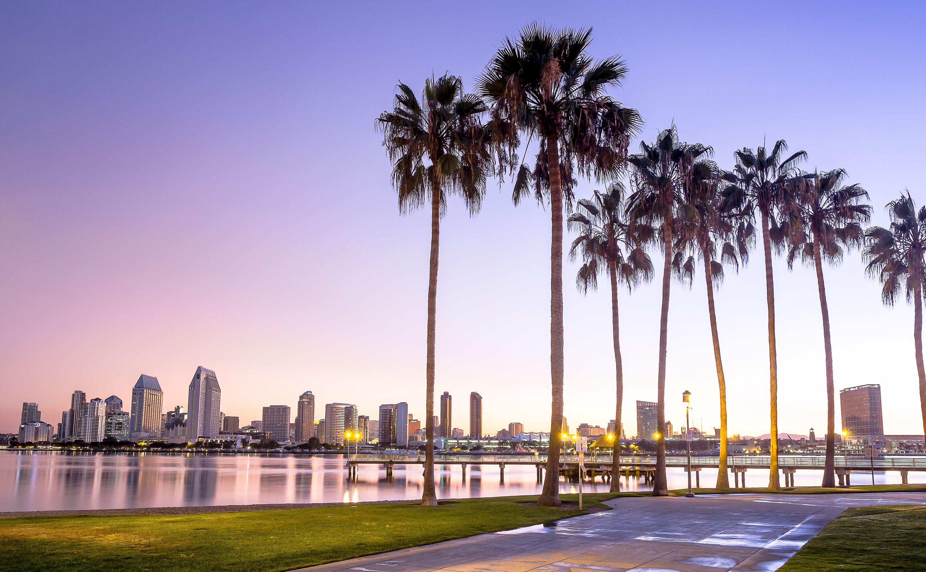 A city skyline at dusk with palm trees along a waterfront.