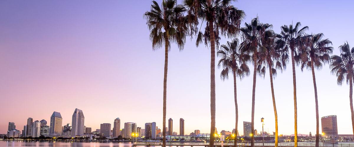 A city skyline at dusk with palm trees along a waterfront.