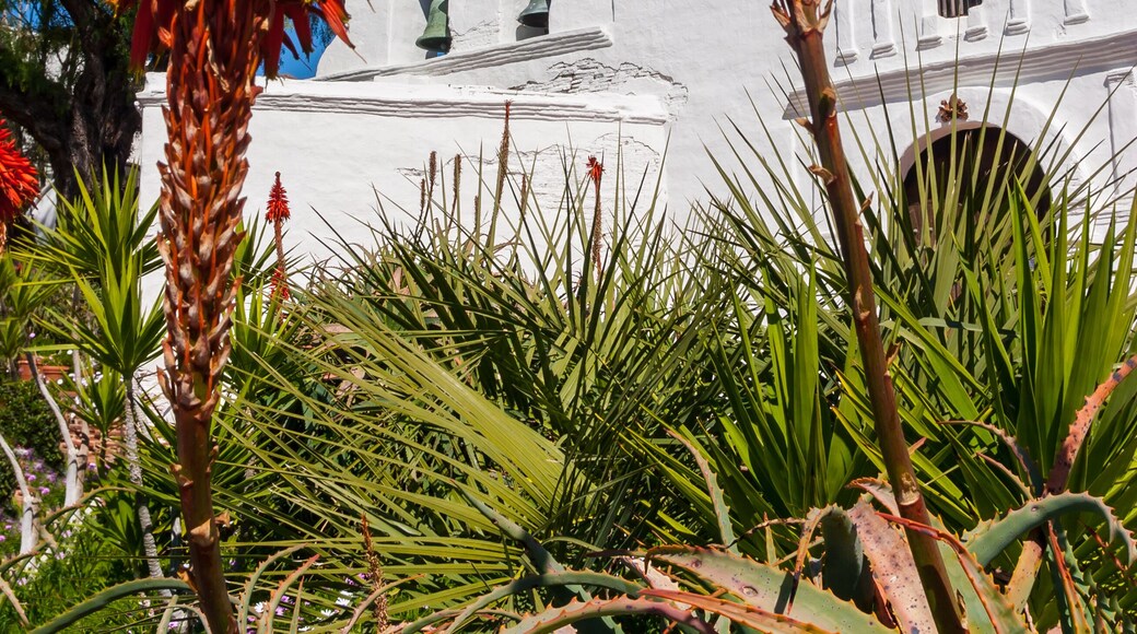 Red Flowers From Agave Cactus at Mission San Diego de Alcala ,San Diego,California, USA