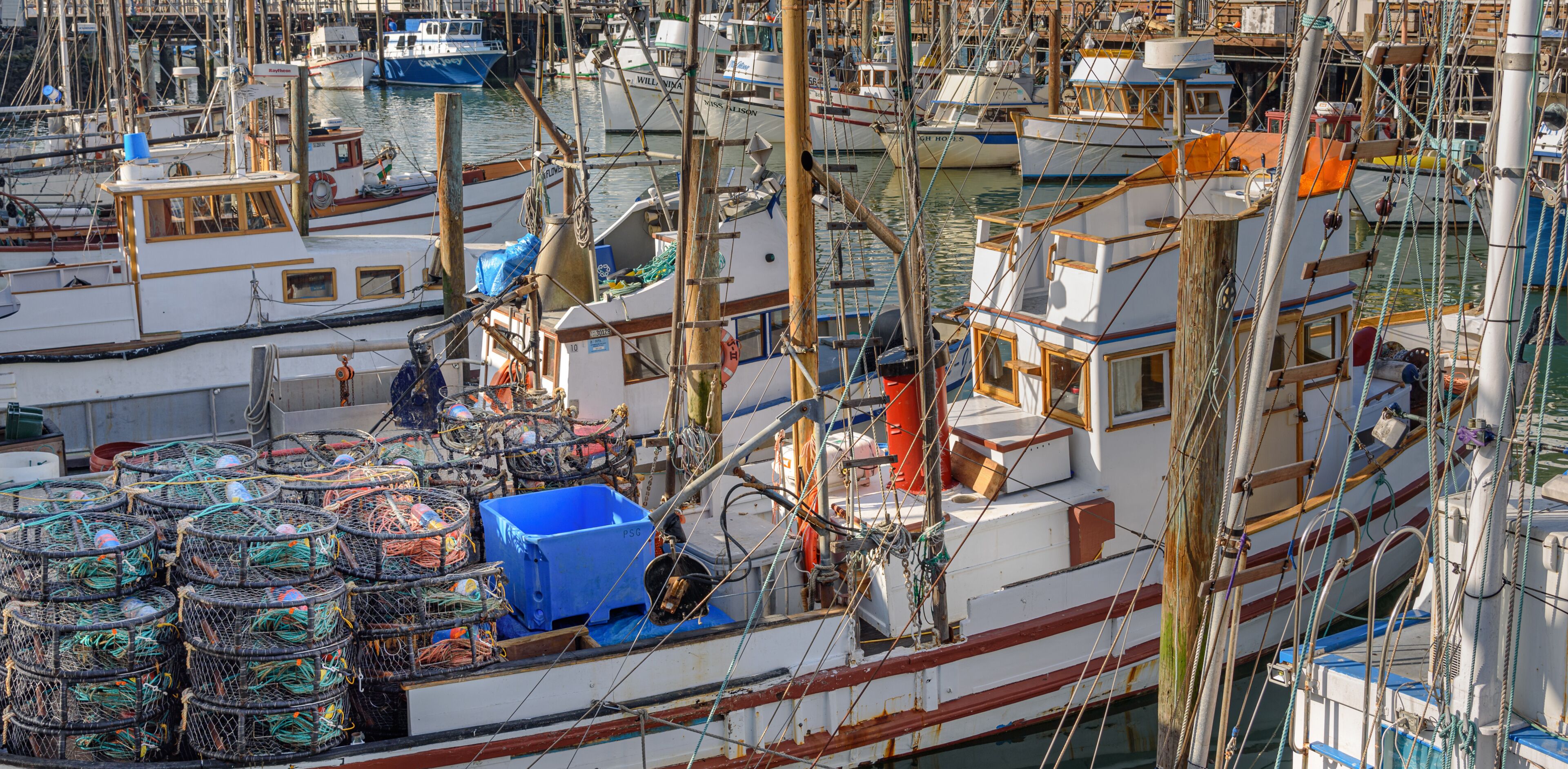 Fisherman's Wharf marina