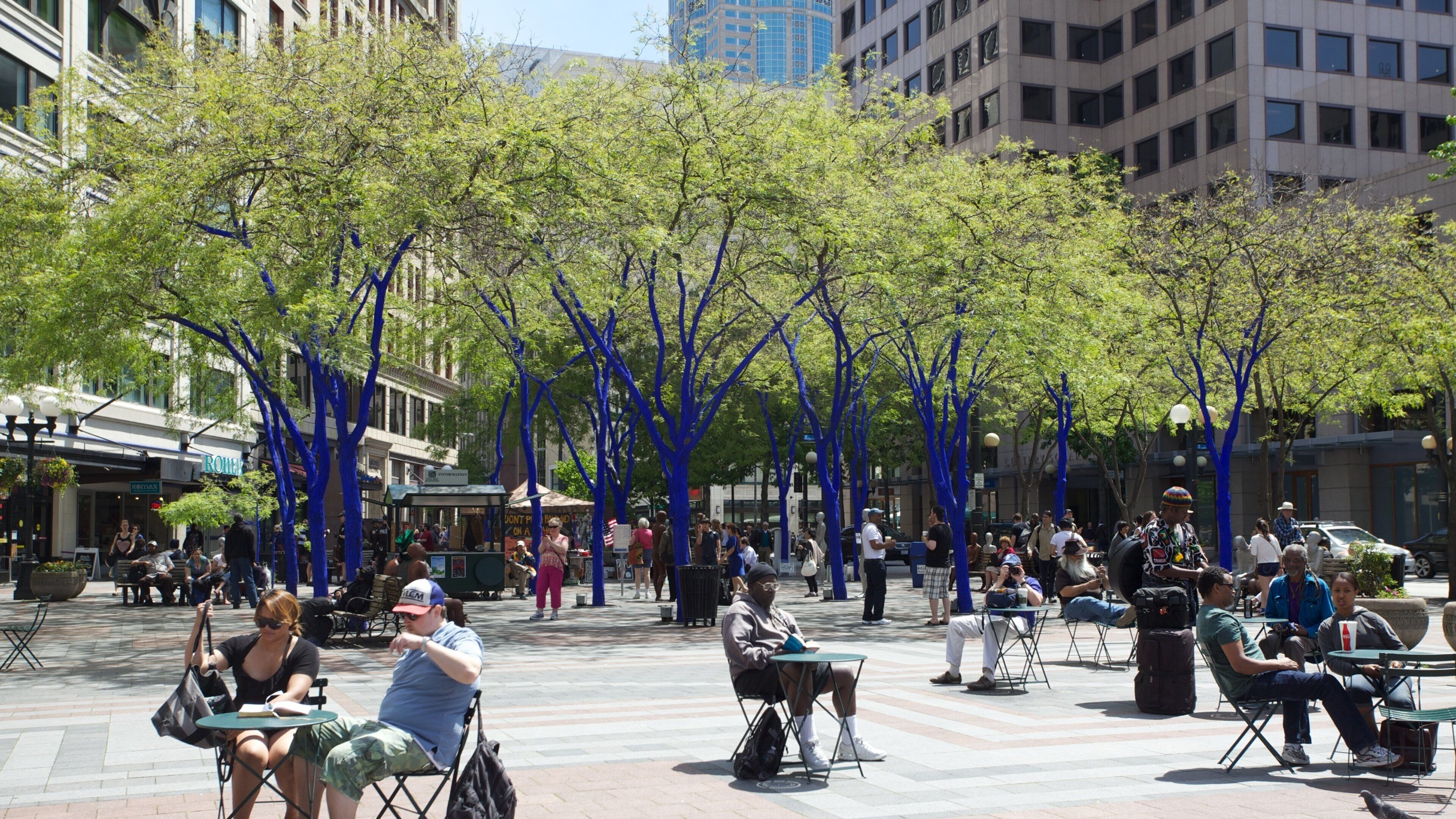 People enjoying a sunny day among vibrant blue trees in Downtown Seattle, Washington
