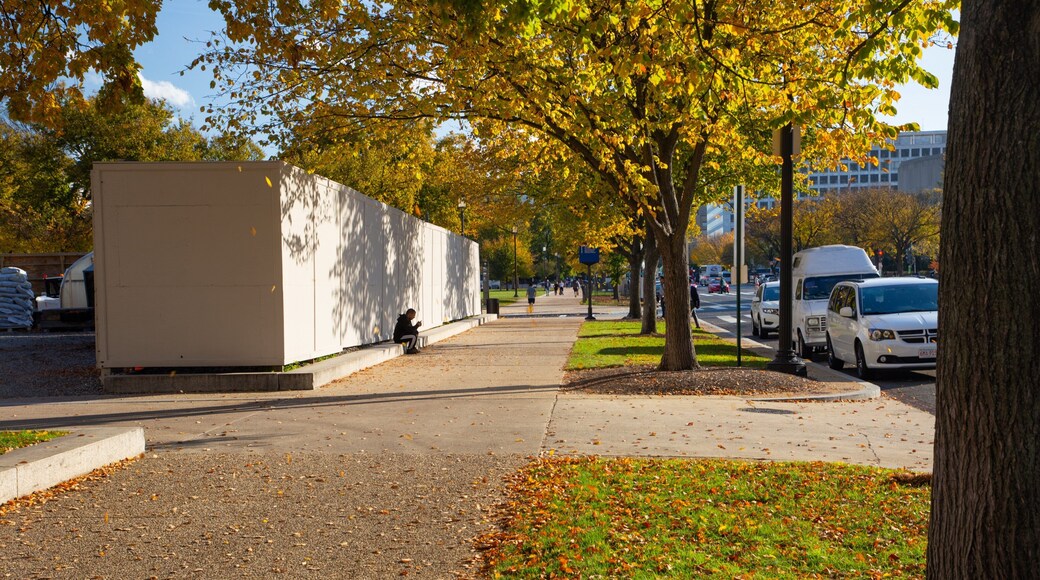 Downtown Washington D.C. featuring fall colors and street scenes