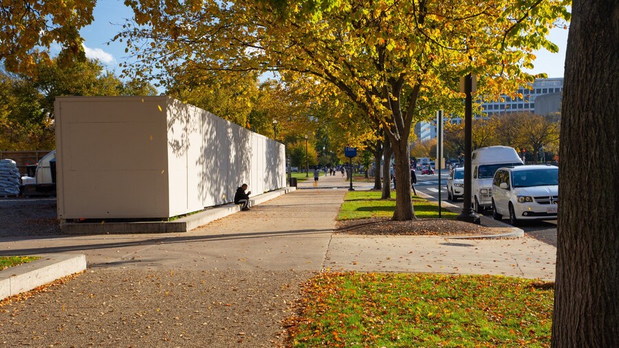 Downtown Washington D.C. featuring fall colors and street scenes