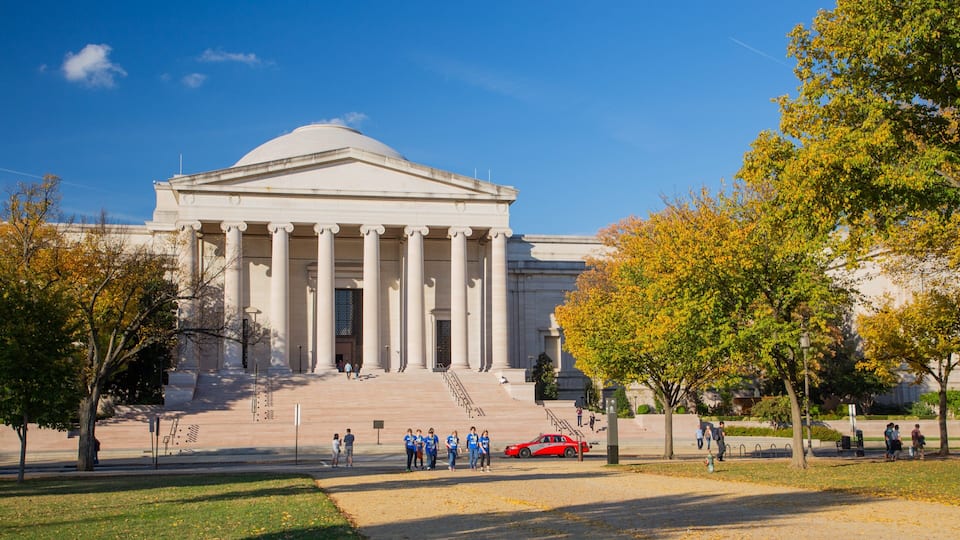 Downtown Washington D.C. which includes heritage architecture, an administrative buidling and autumn leaves
