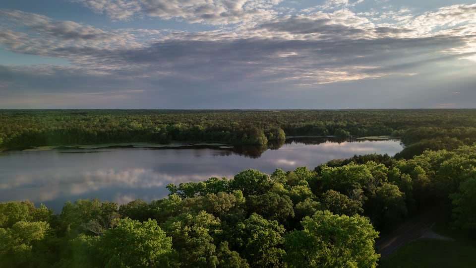 A lake surrounded by dense forest, a clear sky, and a distant horizon.