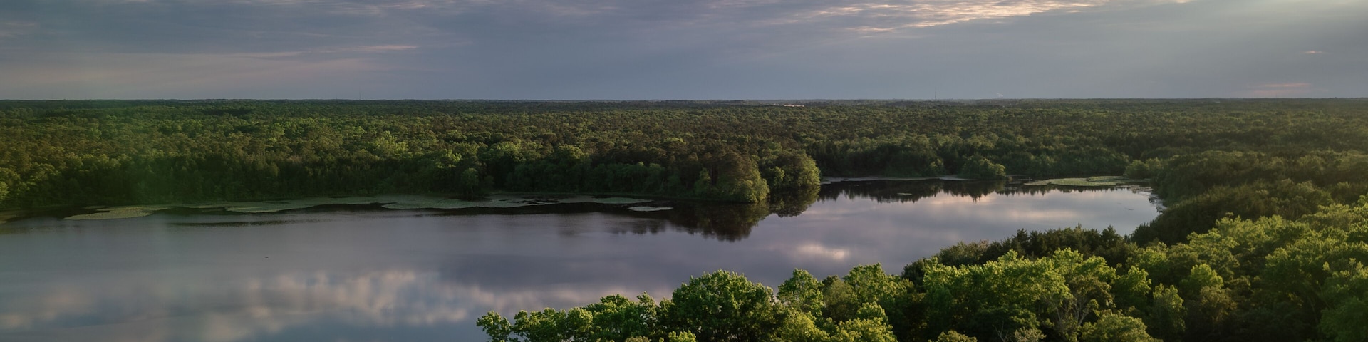 Aerial shot from a drone of Parvin State Park in New Jersey.