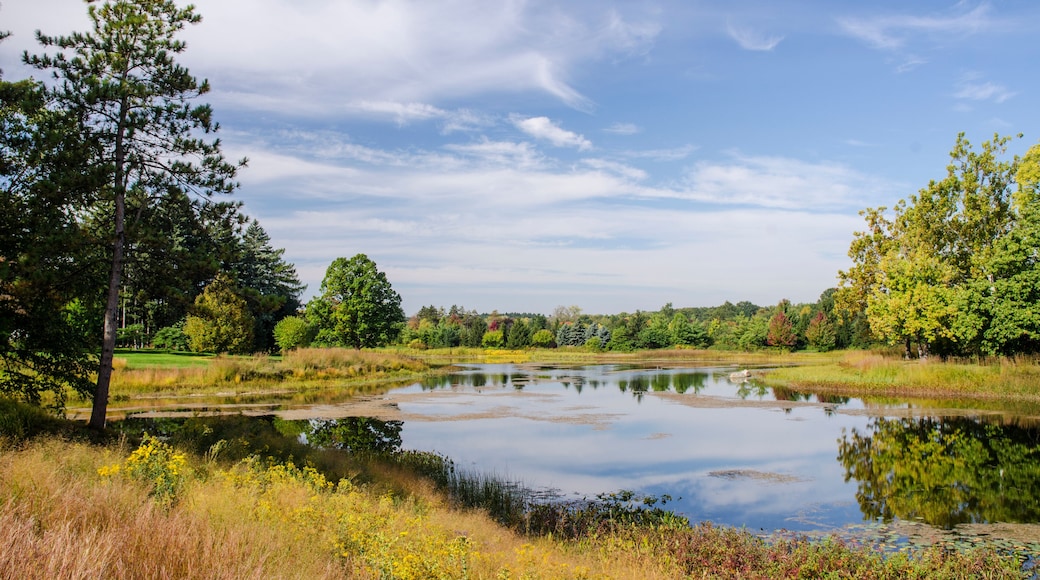 613-43 Meadow Lake in Autumn