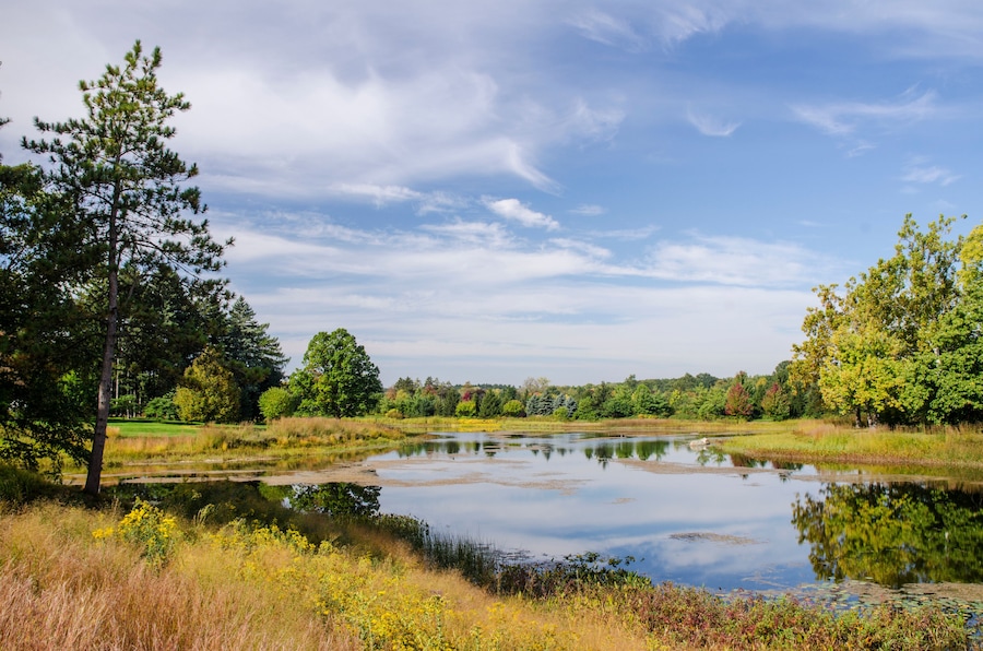 613-43 Meadow Lake in Autumn