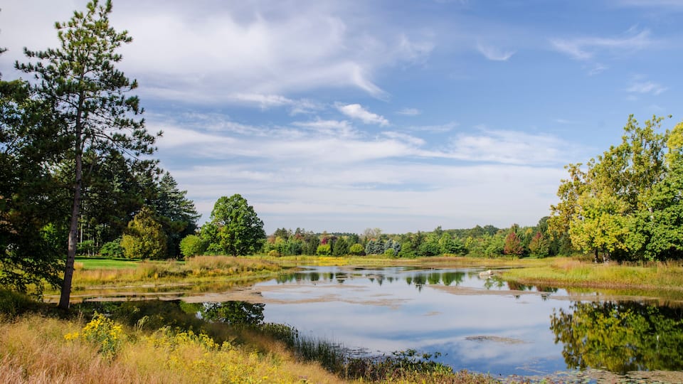 A calm lake surrounded by trees and grass.