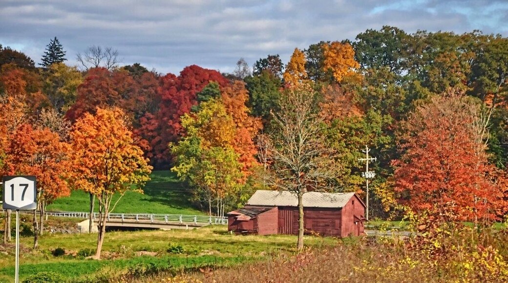 Route 17 in ny is a great road to view the fall foliage