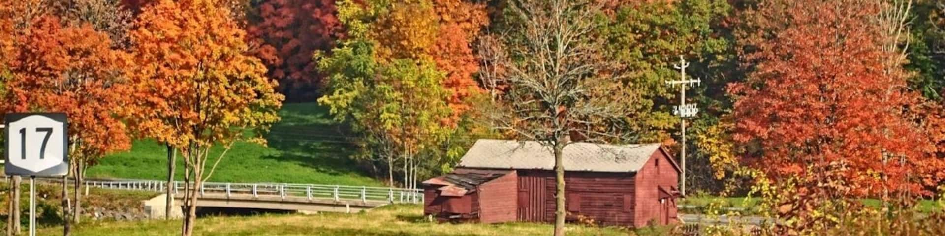 Route 17 in ny is a great road to view the fall foliage