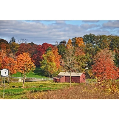 Route 17 in ny is a great road to view the fall foliage