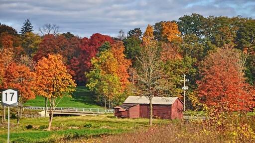 Route 17 in ny is a great road to view the fall foliage