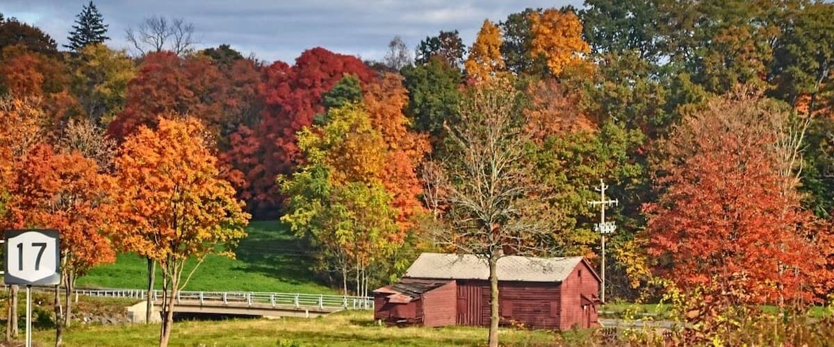 Route 17 in ny is a great road to view the fall foliage