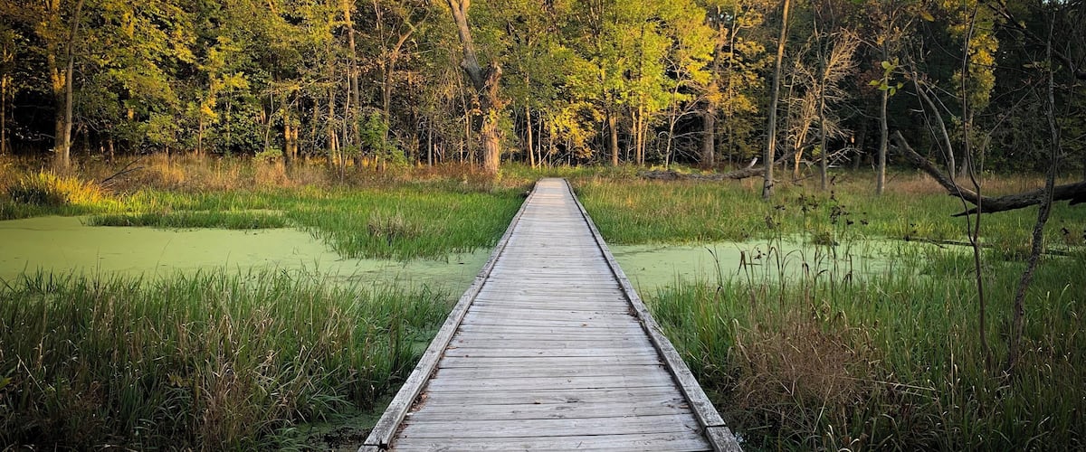 Such a beautiful place! And lots of friendly deer!