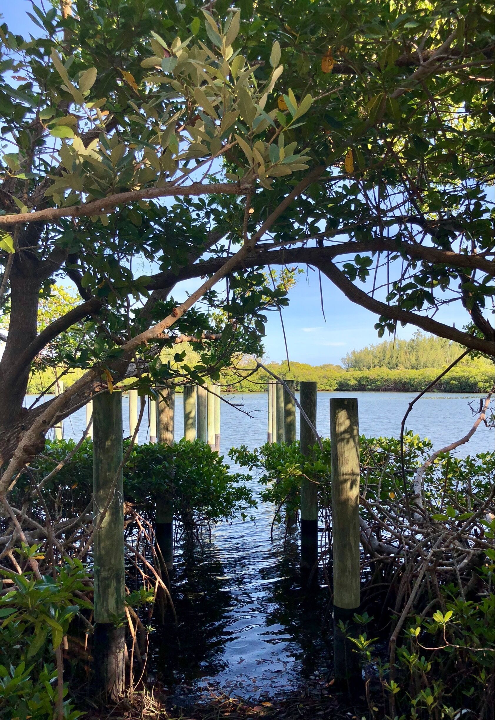 Entry point into the Loxahatchee River. All that’s missing is the dock!