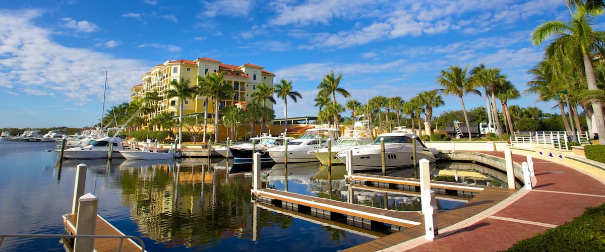 A marina with boats, a large building, palm trees, and a clear blue sky.