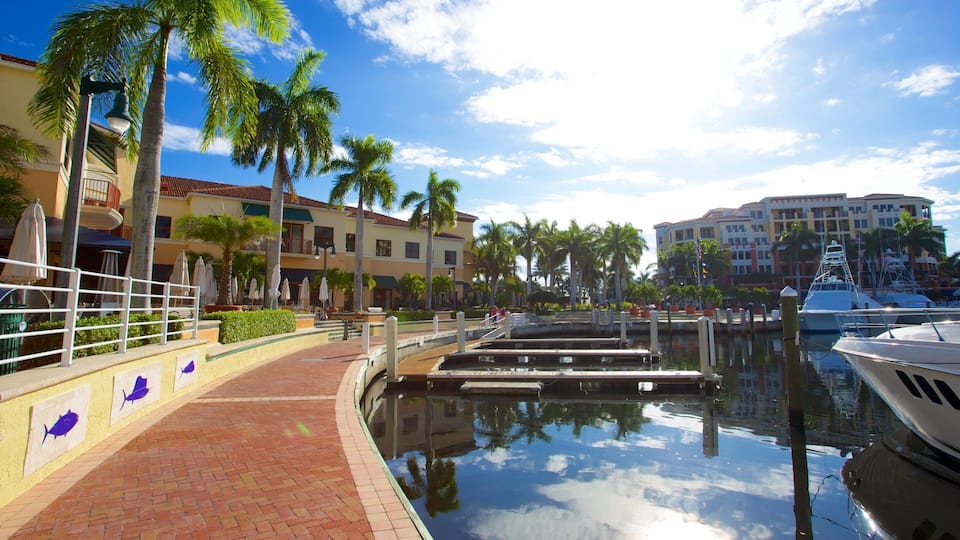 A marina with boats docked, palm trees, and buildings in the background.