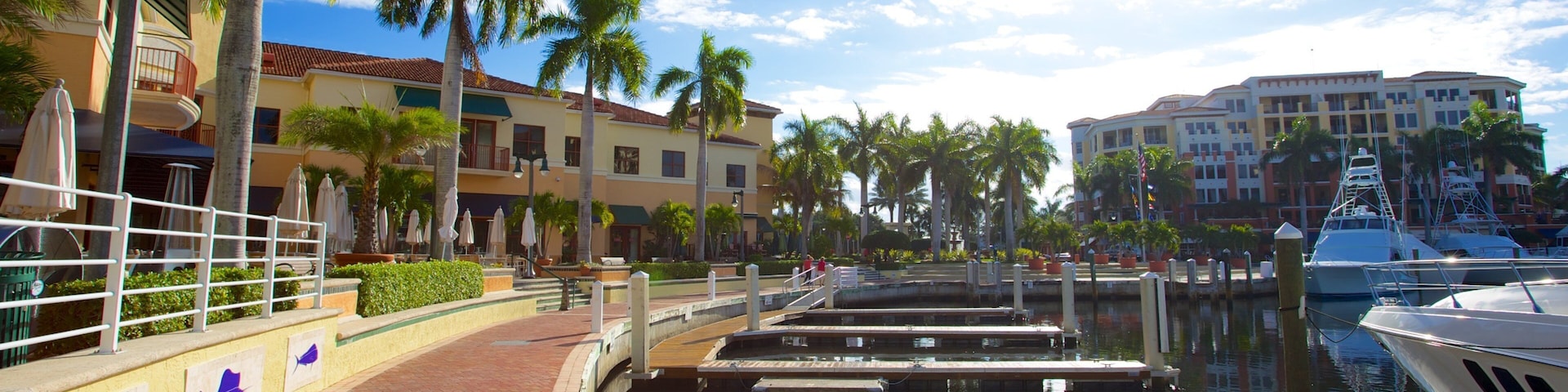 Jupiter showing tropical scenes and a marina