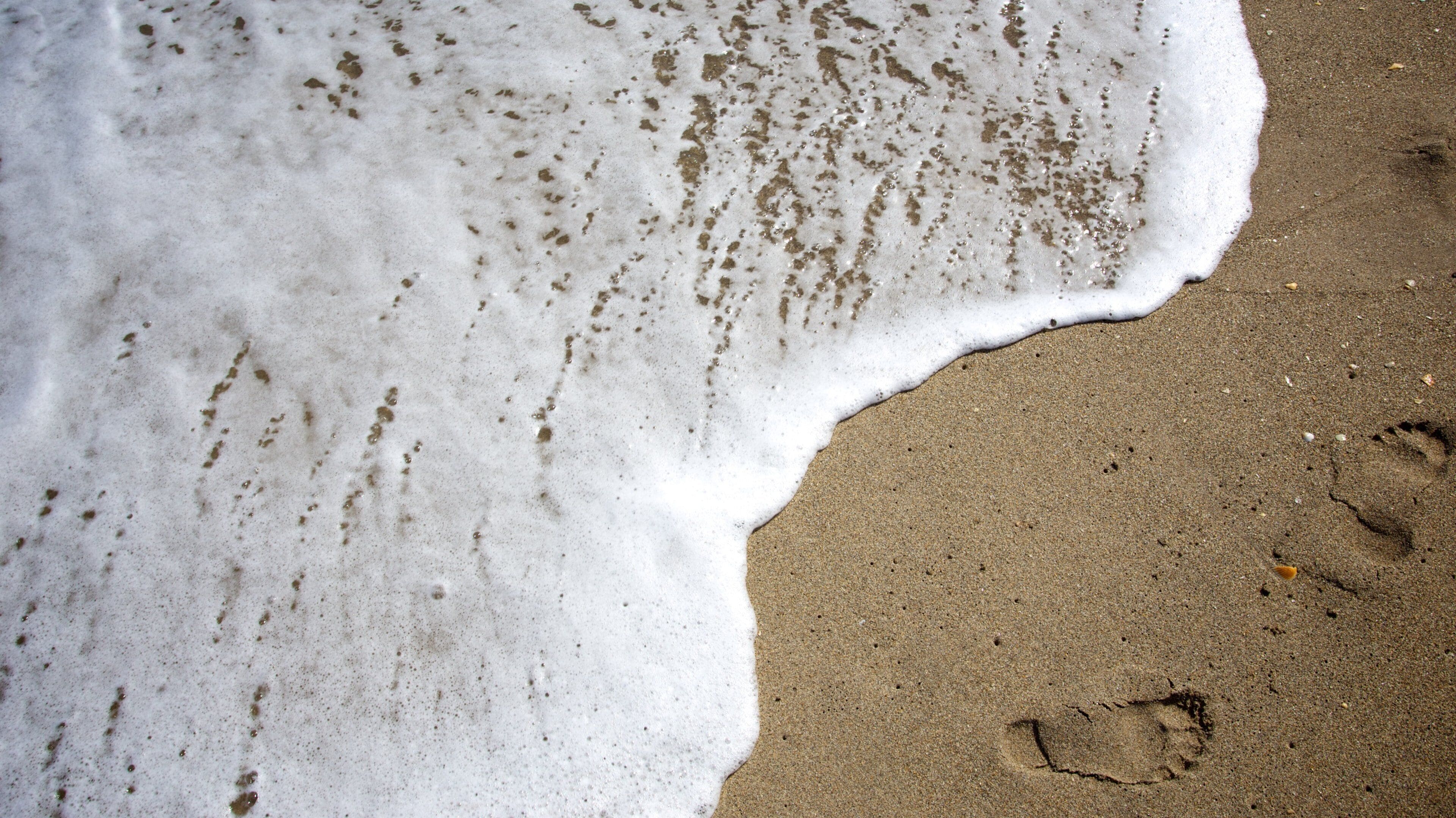 Jupiter showing a beach