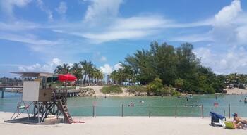 Weekdays, Weekends, holidays, whenever.