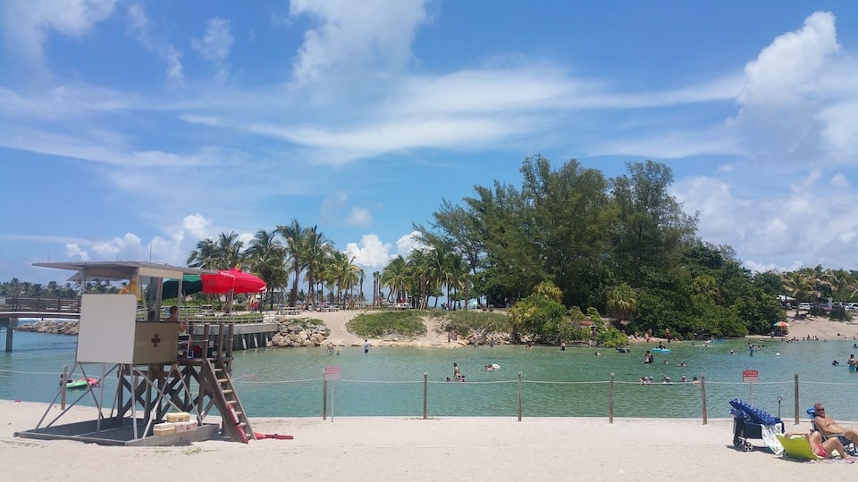 Weekdays, Weekends, holidays, whenever.