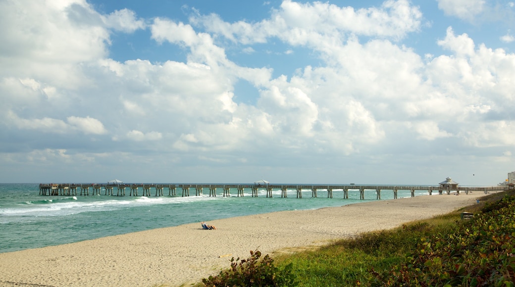 Jupiter which includes a beach and landscape views