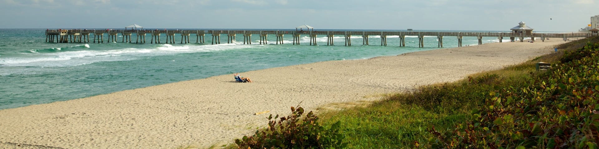 Jupiter which includes a beach and landscape views