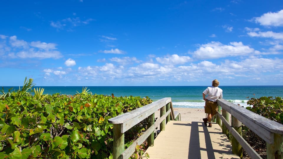 A wooden boardwalk leading to a beach with lush green vegetation on either side.
