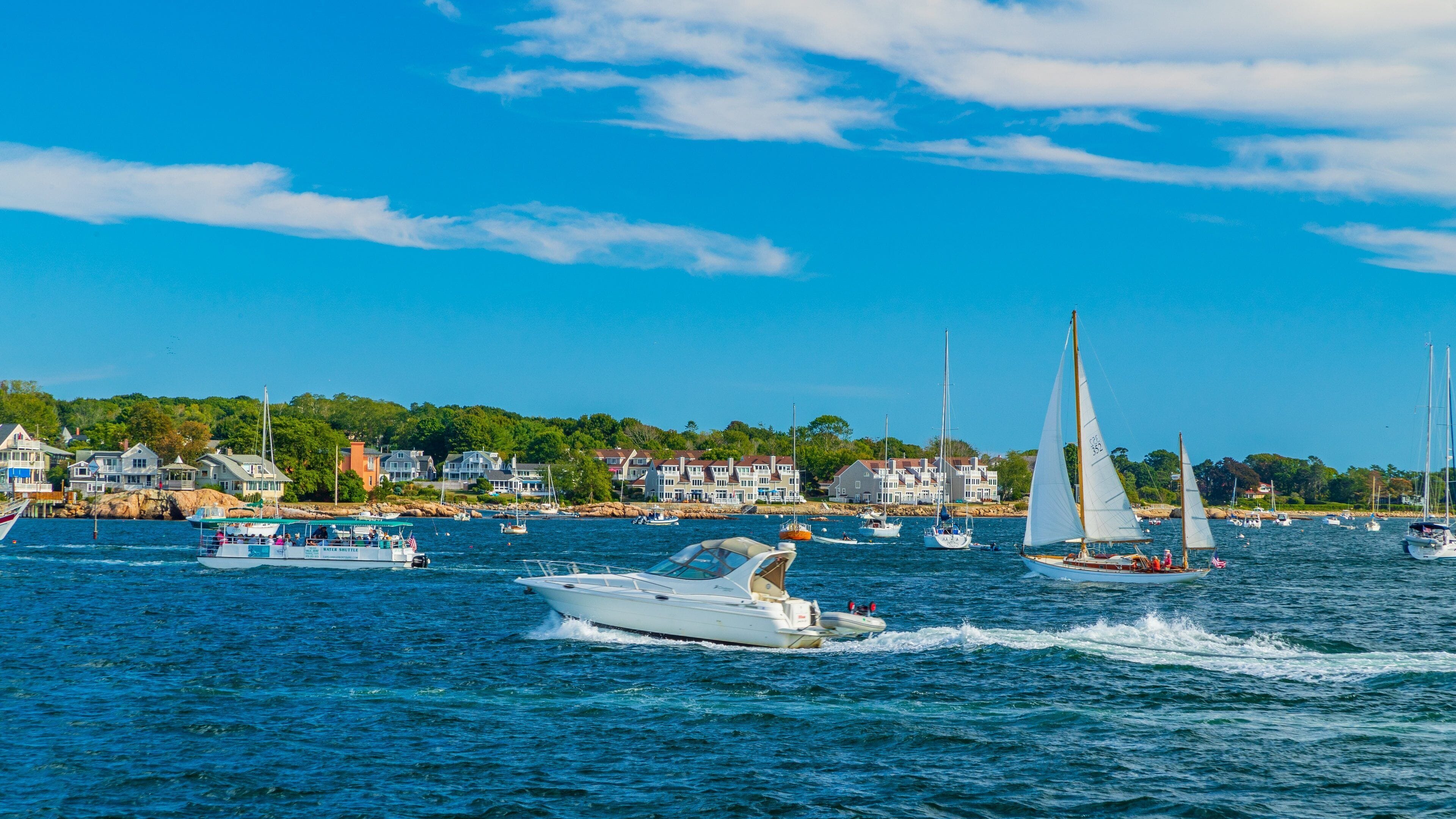 A marina with sailboats and a speedboat, surrounded by houses and greenery.