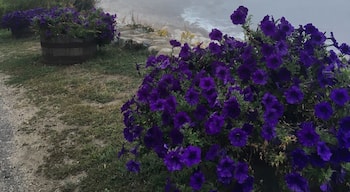 Beautiful place to walk and enjoy the views. This foggy noon created the atmosphere of an unreal world.