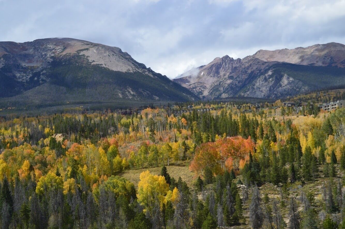 First time I stared seriously joking. First vacation I ever took and my eyes could believe the colors it was seeing. Traveling continues to shock my soul. Full wanderlust #adventure #hikingtherockies #colorado #photocontest #themountainsarecalling  #vivid