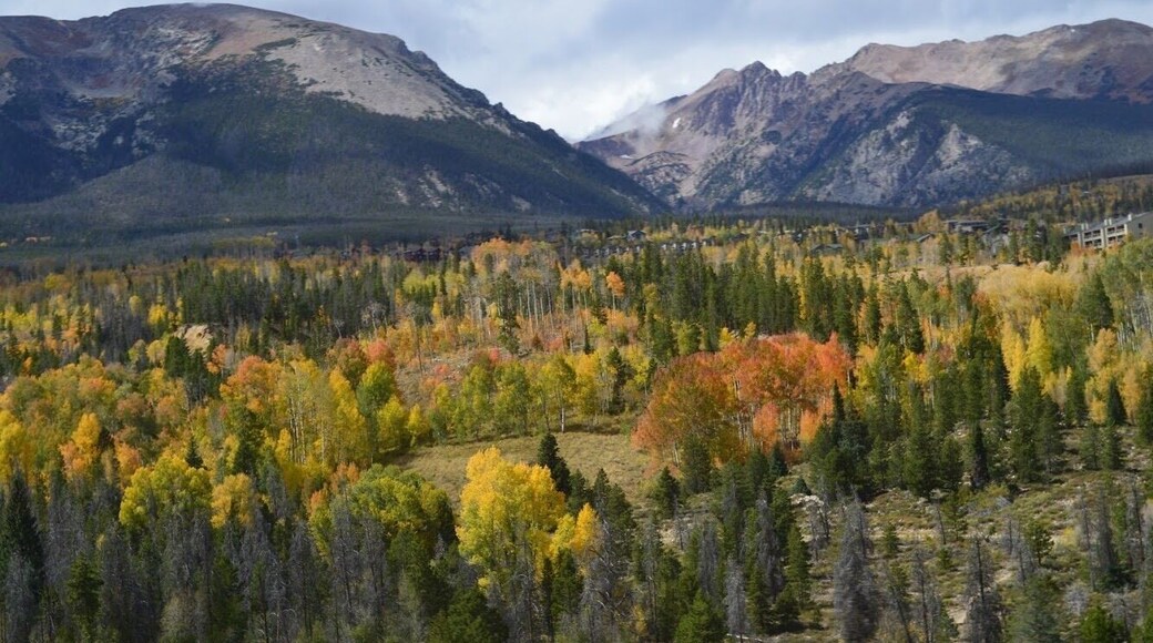 First time I stared seriously joking. First vacation I ever took and my eyes could believe the colors it was seeing. Traveling continues to shock my soul. Full wanderlust #adventure #hikingtherockies #colorado #photocontest #themountainsarecalling #vivid