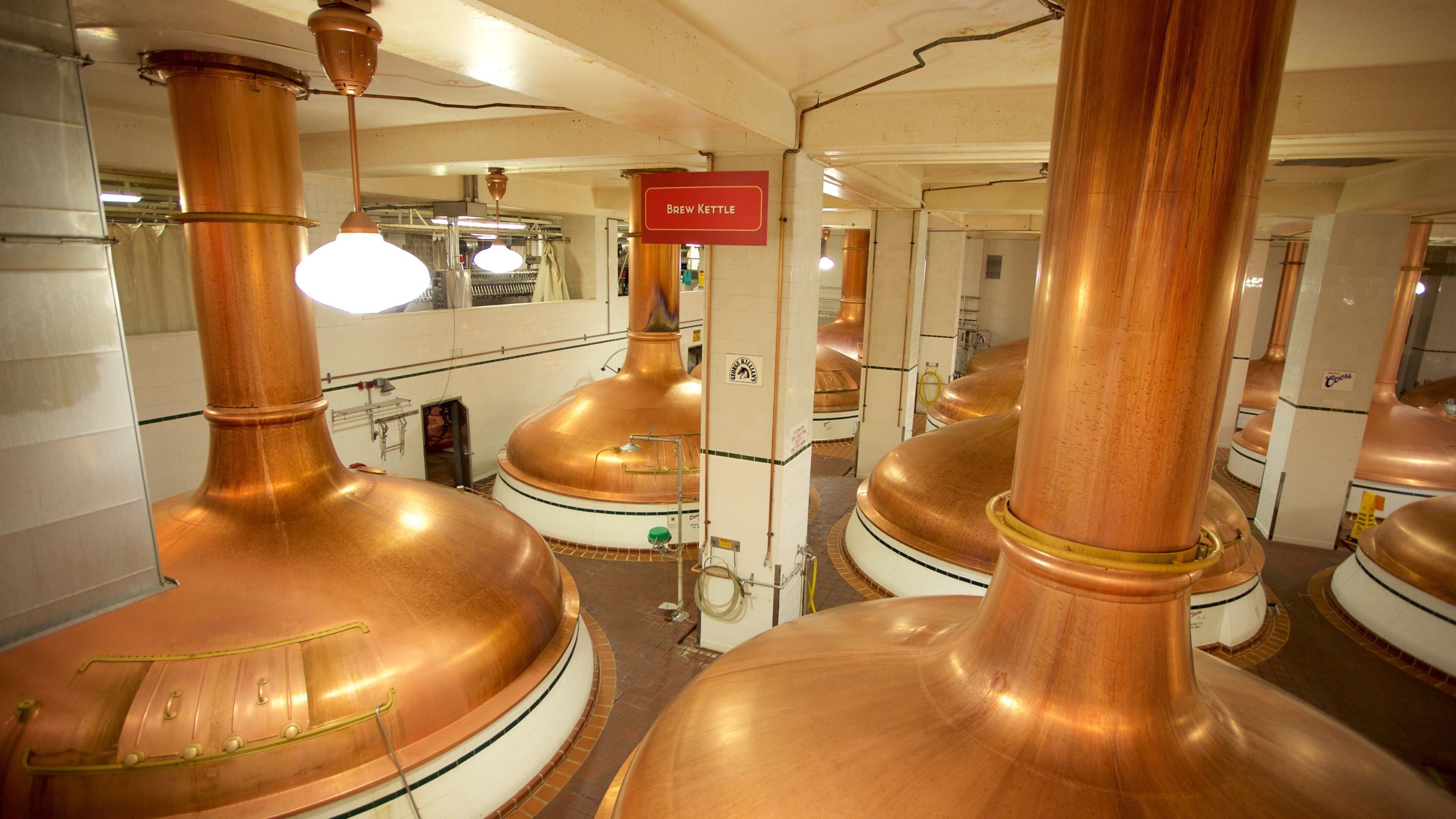 Copper brewing kettles in a brewery.
