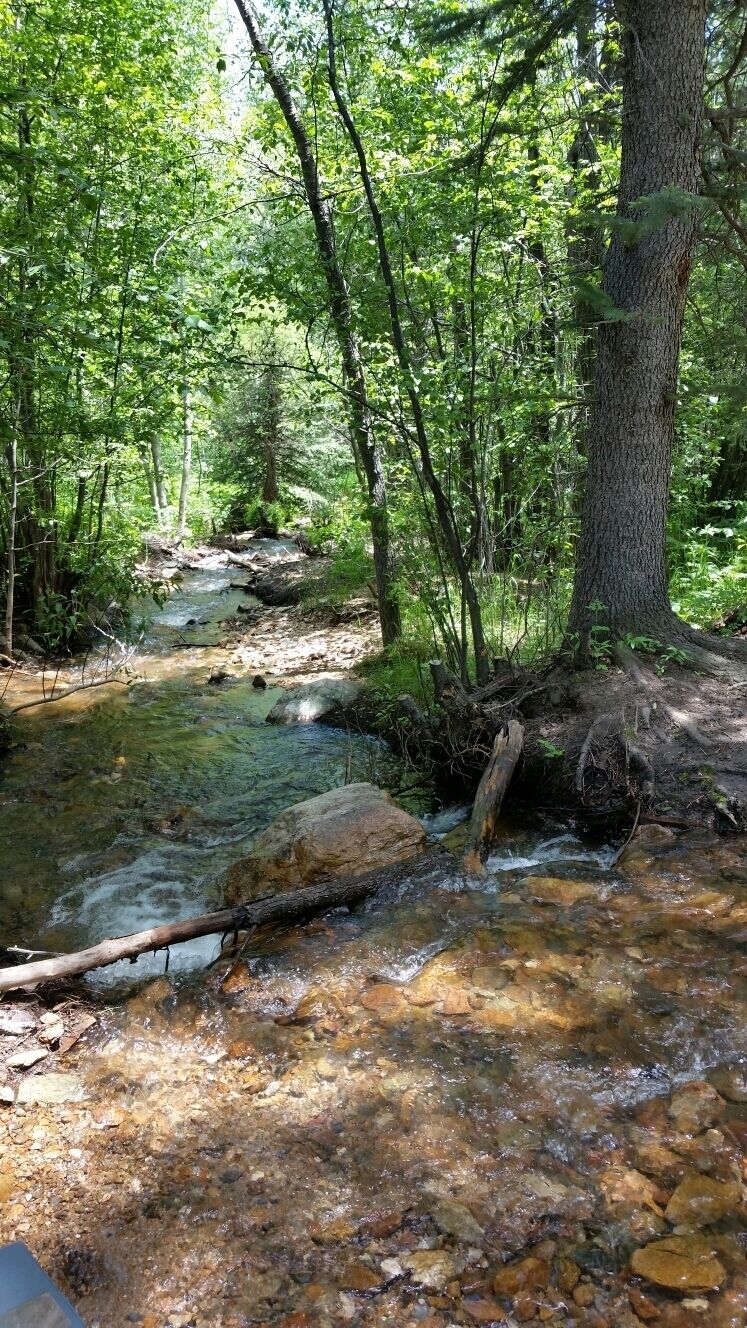 So many amazing hikes in this park!