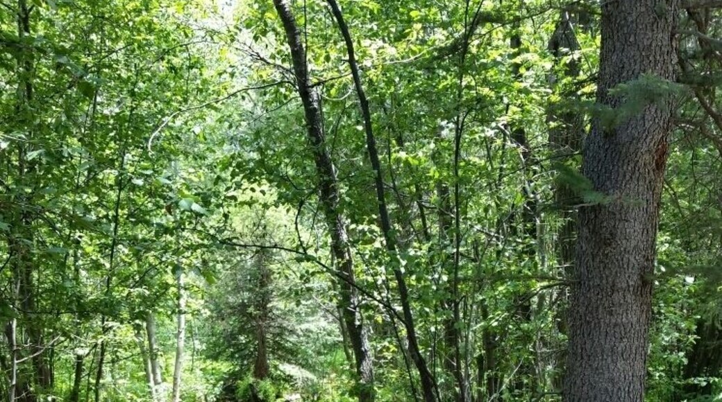 So many amazing hikes in this park!