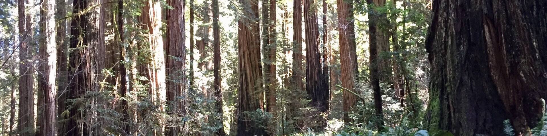 Such a lovely place to go for a walk.