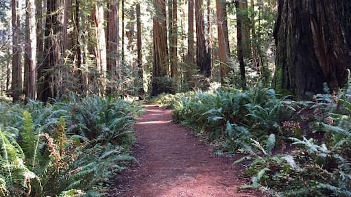 Such a lovely place to go for a walk.