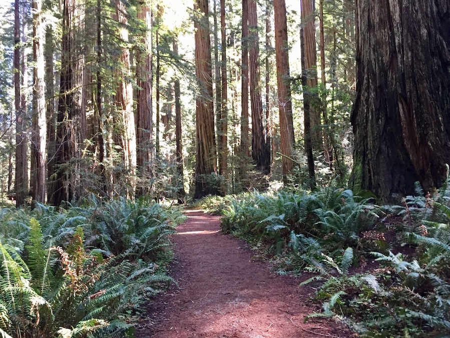 Such a lovely place to go for a walk.