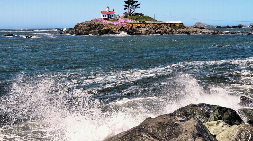 This gorgeous lighthouse is only accessible during low tide, when the water recedes just enough to form a thin land bridge from the island to the mainland.
https://www.facebook.com/LifeRidingShotgun/?ref=bookmarks