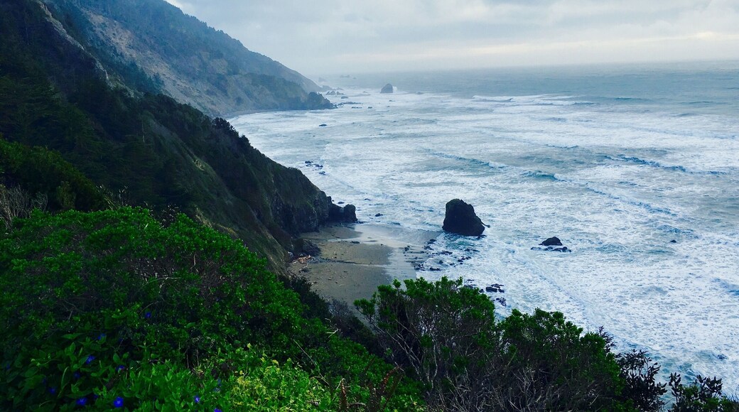 Crescent beach overlook
