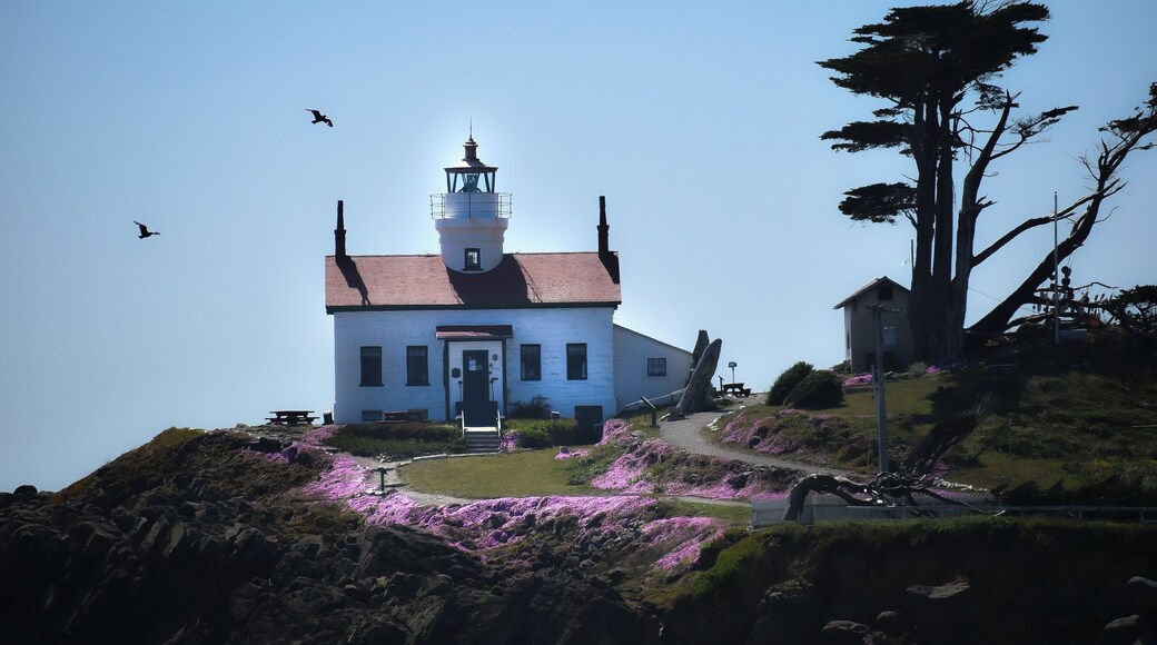I was able to get a shot of the lighthouse just before the sun went down. #Adventure