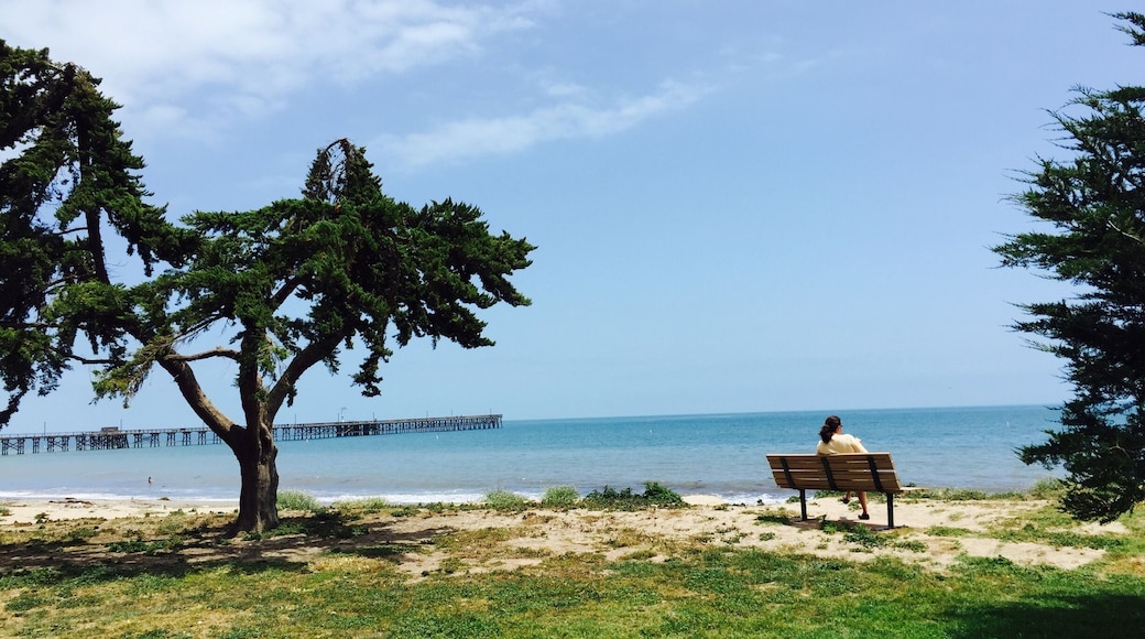 Nice place for picnic and
Barbecue